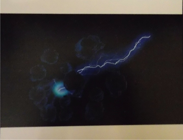 Planet's Pre-destruction