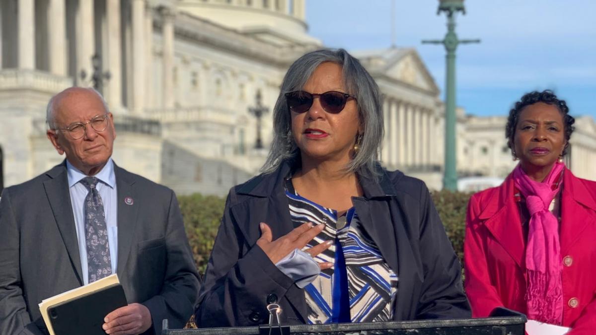 Rep. Kelly speaking at Racial Equity Working Group Press Conference